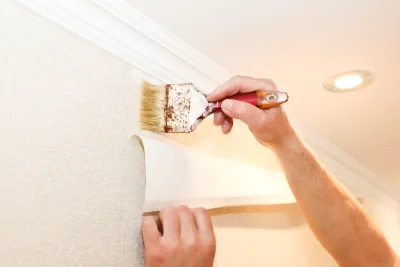 Pose de papier peint à Dizimieu — revêtements muraux et toiles de verre